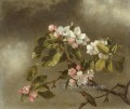 Colibrí y flores de manzano Martin Johnson Heade floral